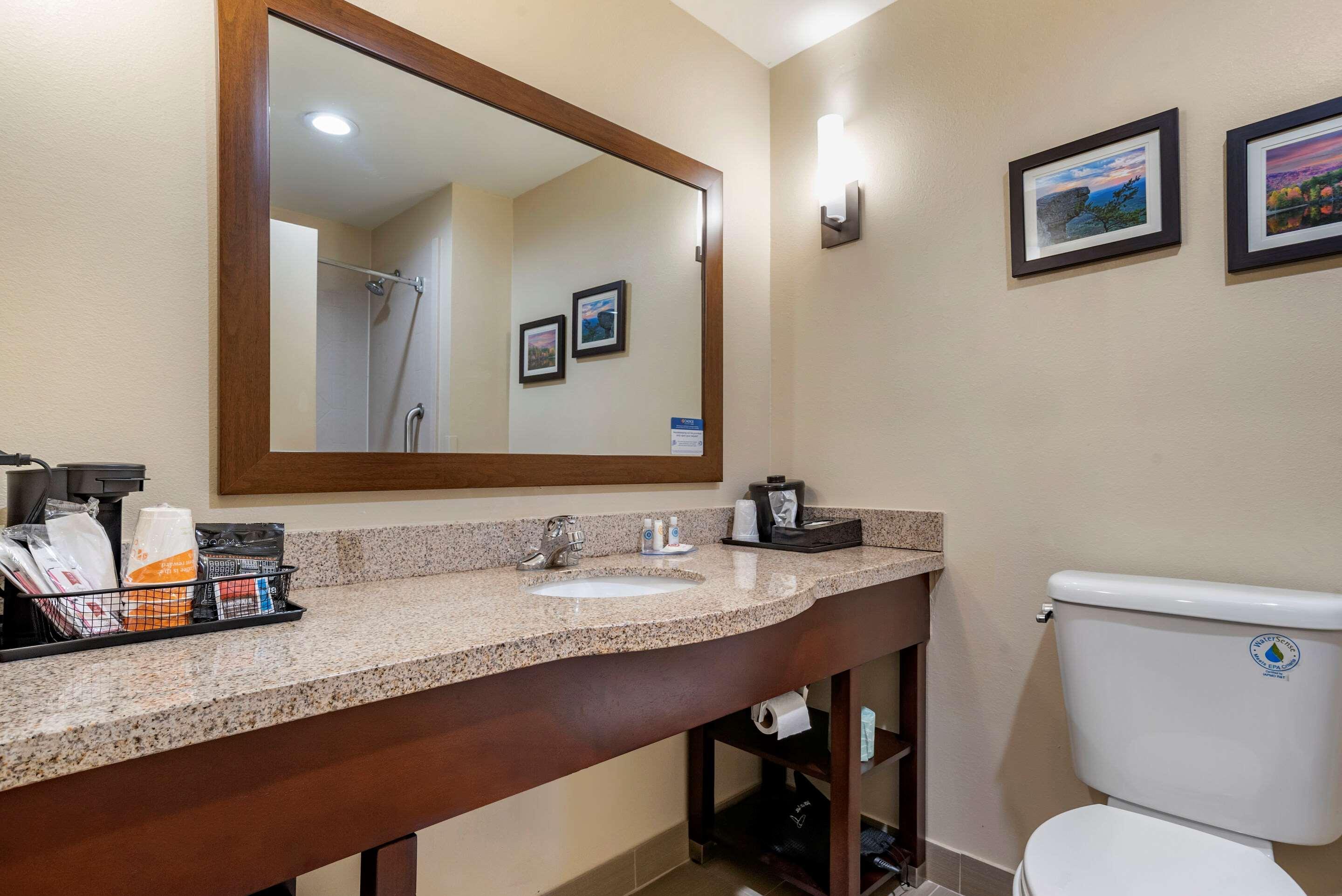 Comfort Suites Pell City I-20 Exit 158 Εξωτερικό φωτογραφία