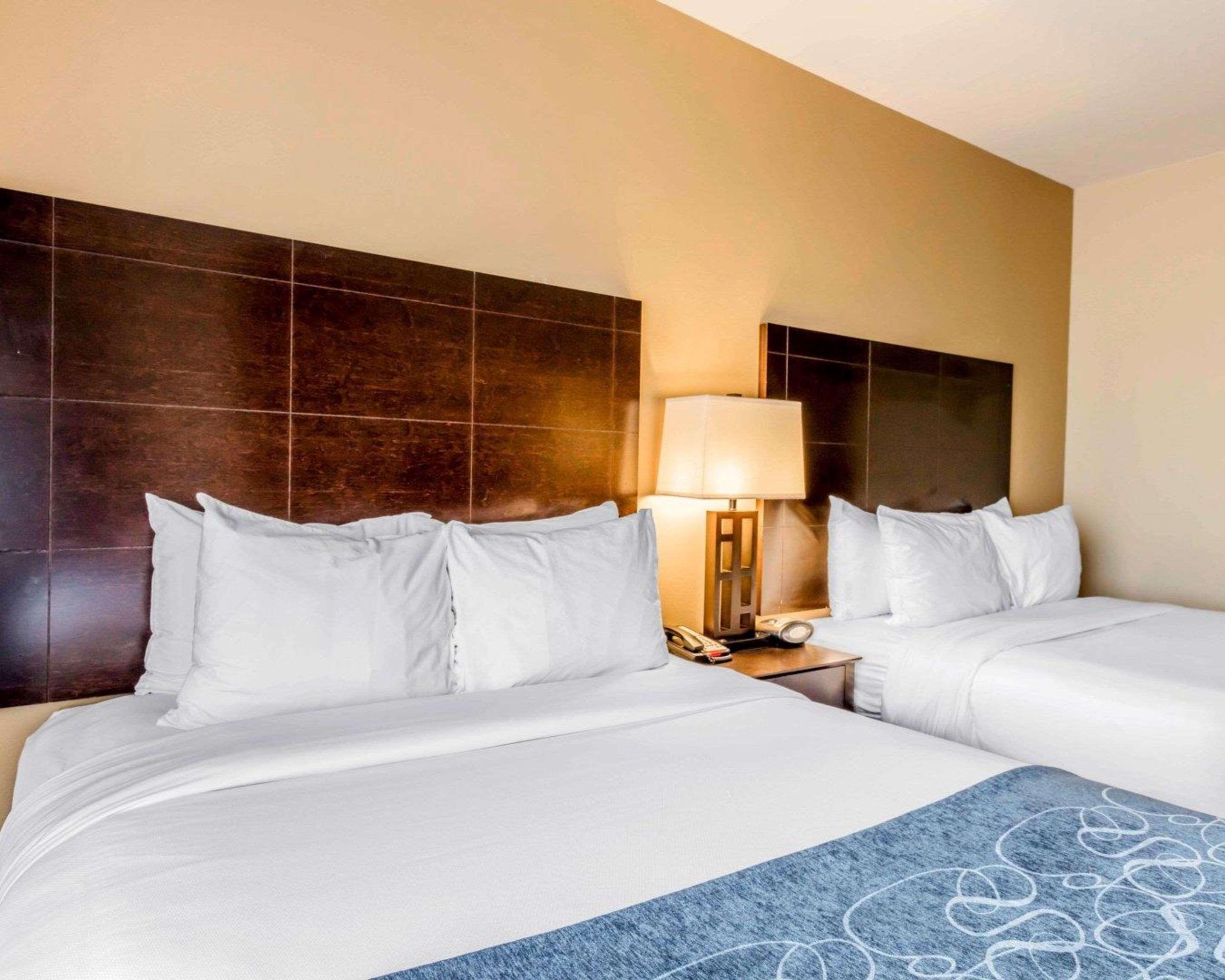 Comfort Suites Pell City I-20 Exit 158 Εξωτερικό φωτογραφία