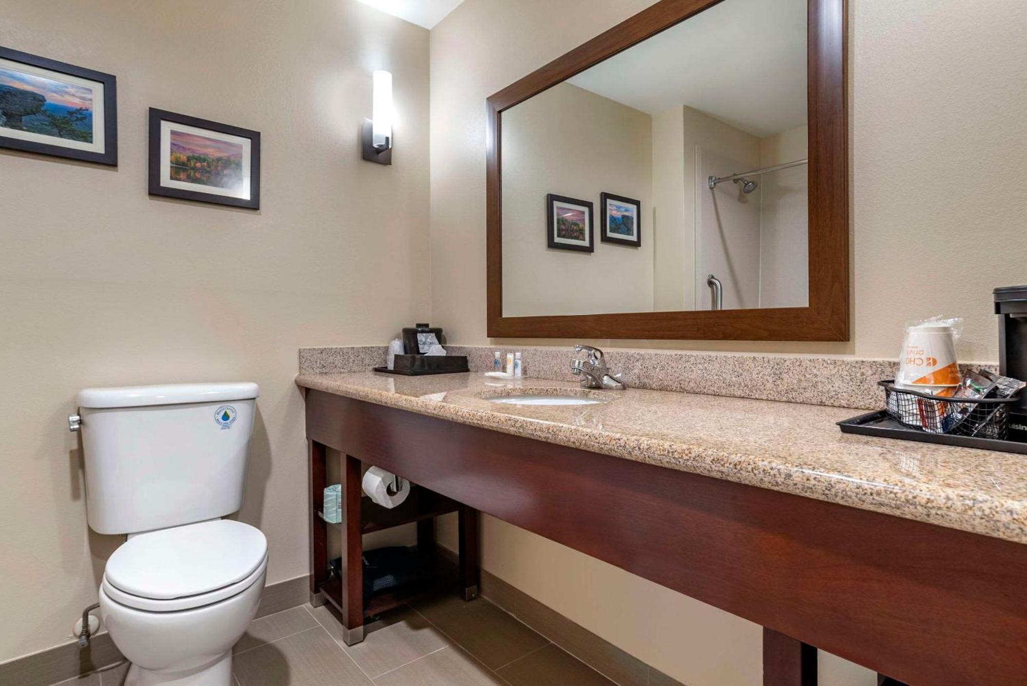 Comfort Suites Pell City I-20 Exit 158 Εξωτερικό φωτογραφία