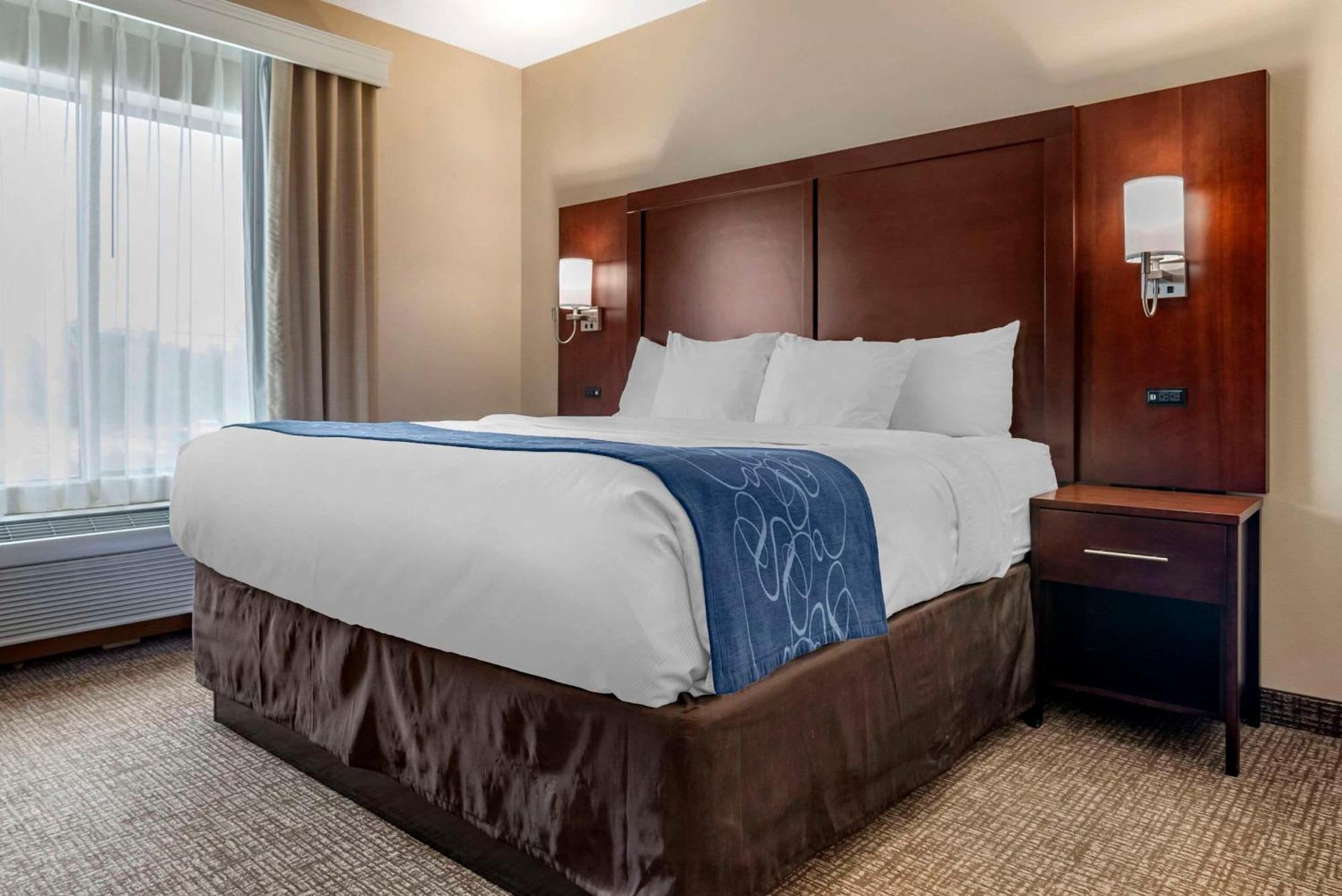 Comfort Suites Pell City I-20 Exit 158 Εξωτερικό φωτογραφία