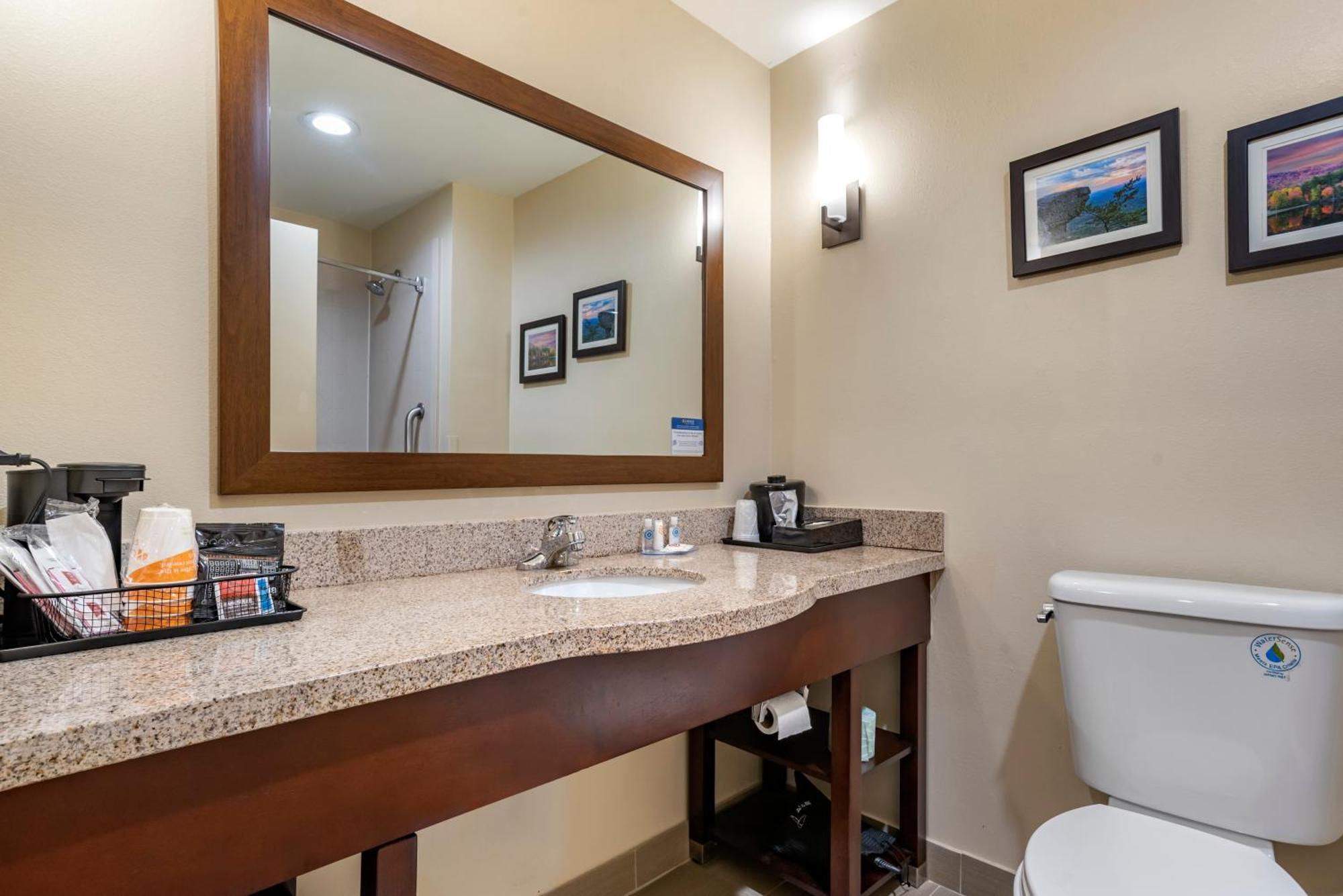 Comfort Suites Pell City I-20 Exit 158 Εξωτερικό φωτογραφία